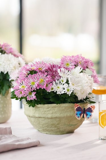 Als Tischschmuck in Rosa und Weiß